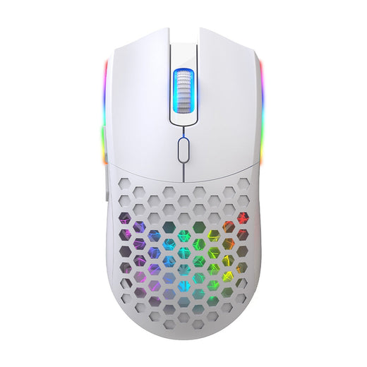Mouse Gaming